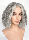 Mixed Grey Curly Lace Front Synthetic Hair Wig LF3313