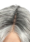 Mixed Grey Curly Lace Front Synthetic Hair Wig LF3313