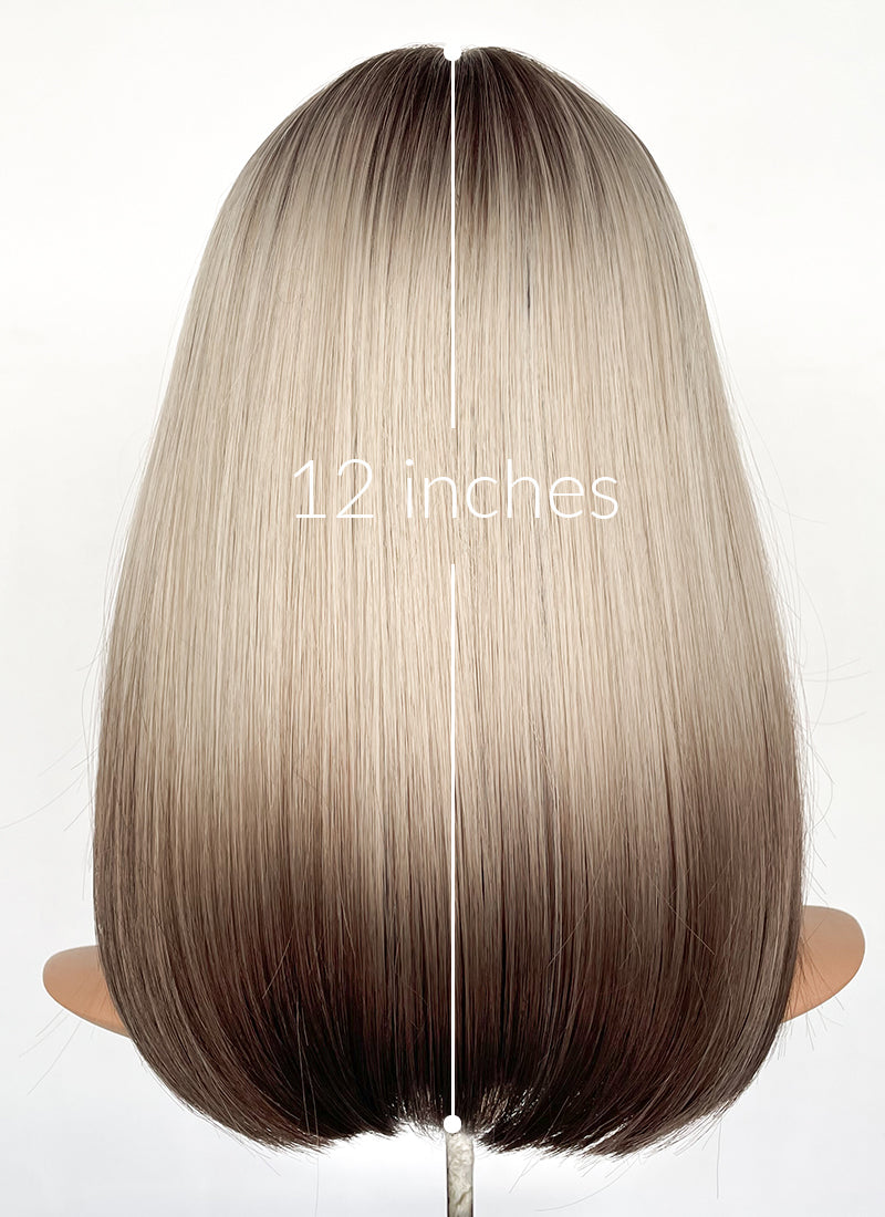 Blonde Brown Ombre Curtain Bangs Straight Lace Front Synthetic Hair Wig LF3319