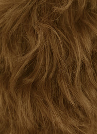 Brown Wavy Lace Front Synthetic Men's Wig LF407B