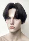Black Rainbow Color Straight Lace Front Synthetic Men's Wig LF6019