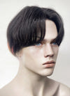 Black Rainbow Color Straight Lace Front Synthetic Men's Wig LF6019