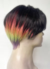 Black Rainbow Color Straight Lace Front Synthetic Men's Wig LF6019