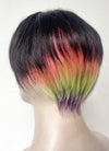 Black Rainbow Color Straight Lace Front Synthetic Men's Wig LF6019