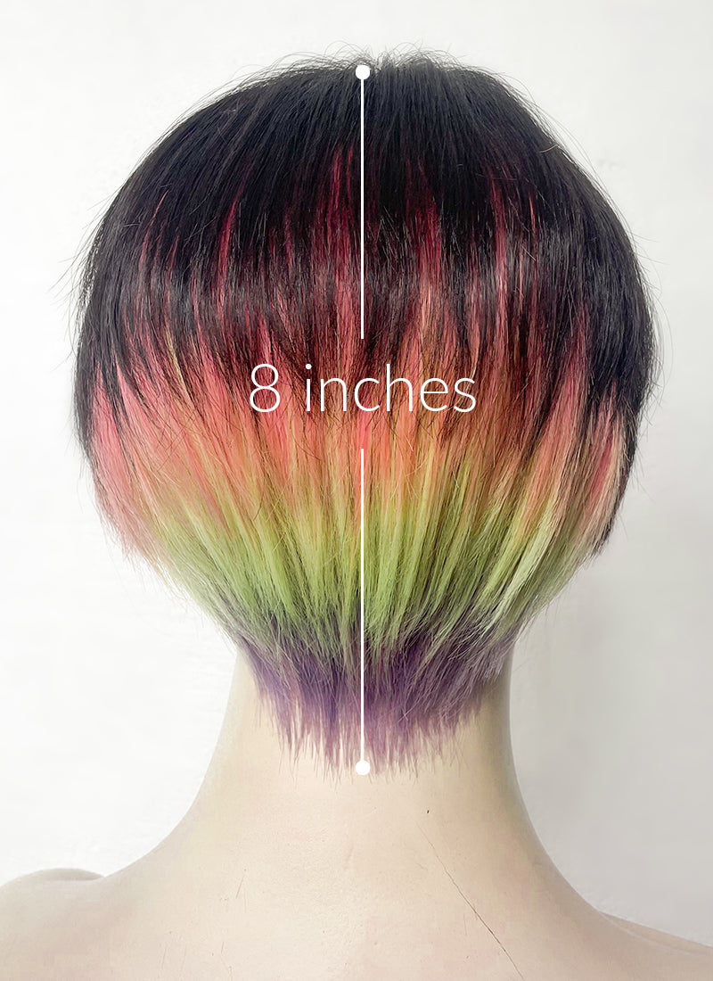 Black Rainbow Color Straight Lace Front Synthetic Men's Wig LF6019