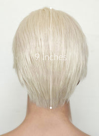 Barbie Ken Platinum Blonde Straight Lace Front Synthetic Men's Wig LF6023