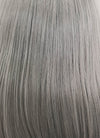 Grey With Dark Roots Straight Lace Front Synthetic Wig LF837