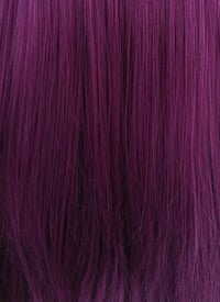 Straight Dark Purple Lace Front Synthetic Wig LFB029