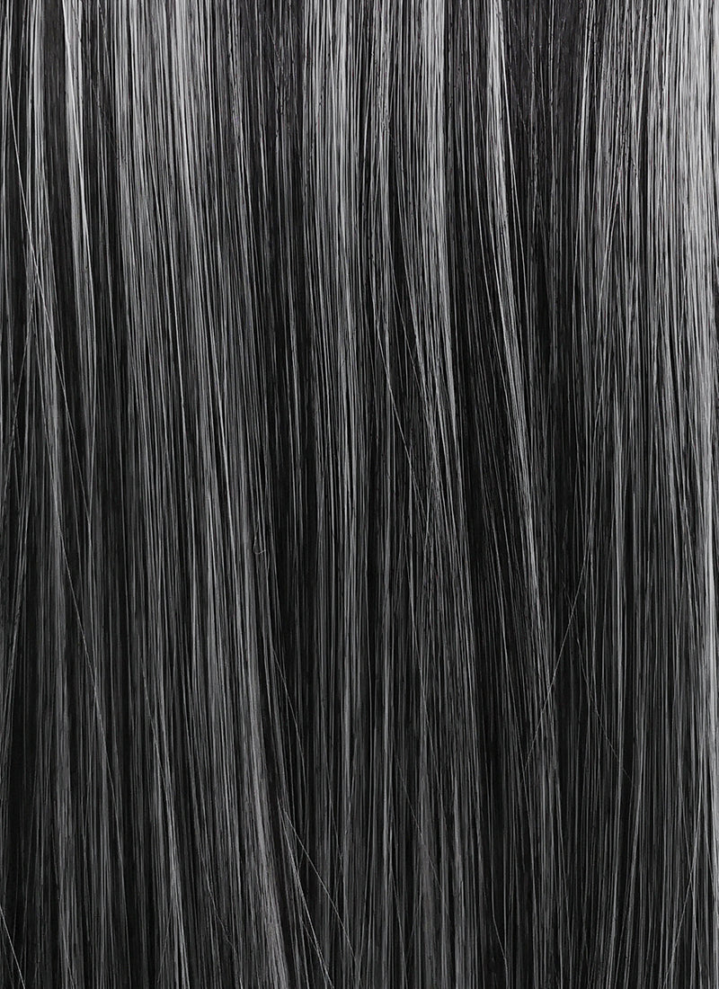 Black Mixed Grey Straight Lace Front Kanekalon Synthetic Wig LF3257