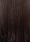 Brunette Straight 13" x 6" Lace Top Kanekalon Synthetic Hair Wig LFS027