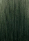 Swamp Green With Dark Roots Straight Yaki Lace Front Synthetic Wig LN6024