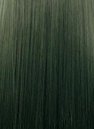 Swamp Green With Dark Roots Straight Yaki Lace Front Synthetic Wig LN6024