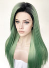 Green With Dark Roots Straight Yaki Lace Front Synthetic Wig LN6029