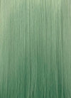 Green With Dark Roots Straight Yaki Lace Front Synthetic Wig LN6029