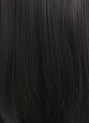 Straight Black Lace Front Synthetic Wig LW769