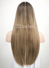 Brown Blonde Ombre Straight Synthetic Wig NS019