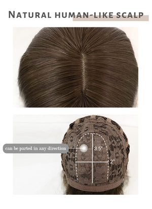 Brown Blonde Ombre Wavy Synthetic Wig NS379