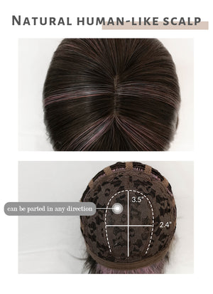 Brunette With Purple Grey Tips Straight Synthetic Hair Wig NS412