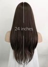Brunette With Purple Grey Tips Straight Synthetic Hair Wig NS412