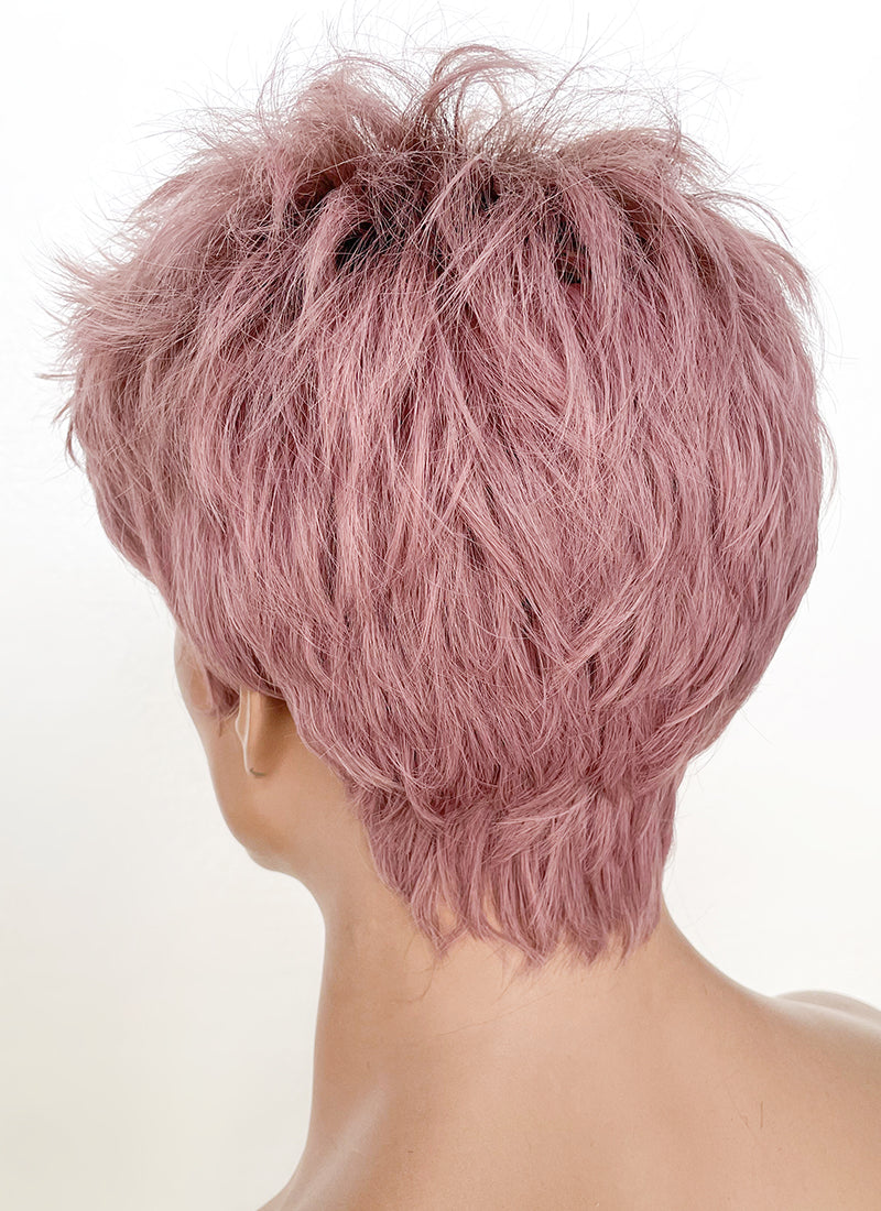 Ash Pink With Dark Roots Straight Pixie Synthetic Men's Hair Wig NS427