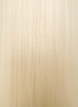 Blonde Yaki Straight Synthetic Hair Wig NS433