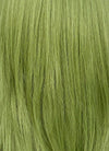 Green Straight Synthetic Hair Wig NS523