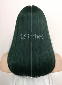 Dark Green Straight Synthetic Hair Wig NS284